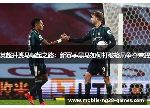 英超升班马崛起之路：新赛季黑马如何打破格局争夺荣耀