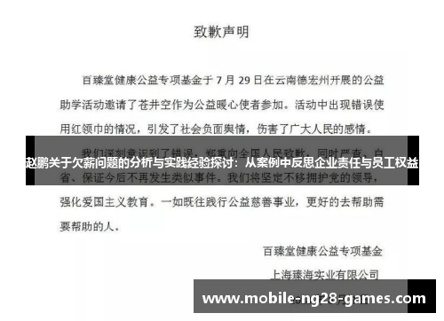 赵鹏关于欠薪问题的分析与实践经验探讨：从案例中反思企业责任与员工权益